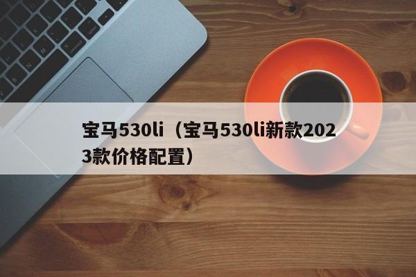 宝马530li（宝马530li新款2023款价格配置）