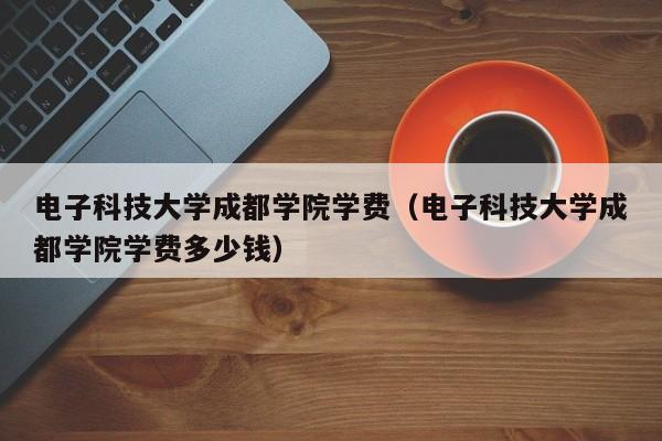 电子科技大学成都学院学费（电子科技大学成都学院学费多少钱）