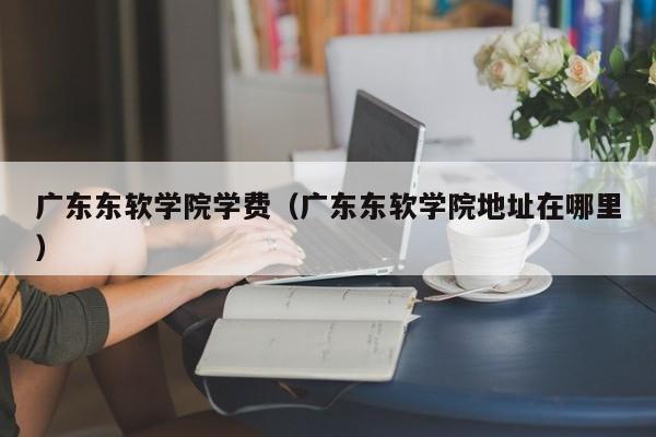 广东东软学院学费（广东东软学院地址在哪里）