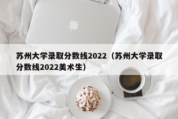 苏州大学录取分数线2022（苏州大学录取分数线2022美术生）