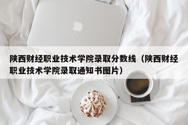 陕西财经职业技术学院录取分数线（陕西财经职业技术学院录取通知书图片）