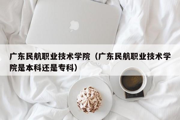 广东民航职业技术学院（广东民航职业技术学院是本科还是专科）