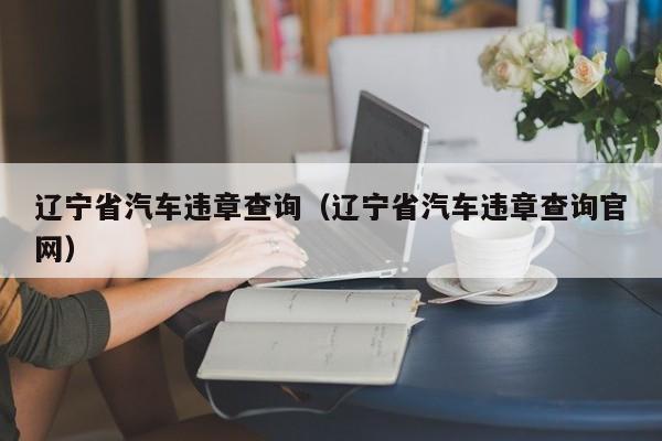 辽宁省汽车违章查询（辽宁省汽车违章查询官网）