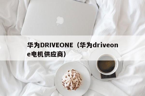 华为DRIVEONE（华为driveone电机供应商）
