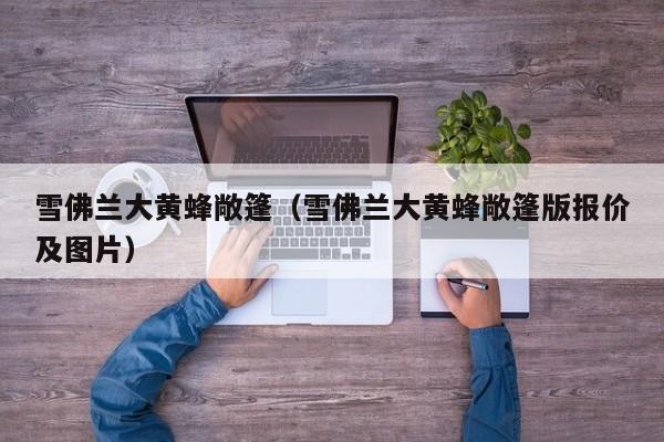 雪佛兰大黄蜂敞篷（雪佛兰大黄蜂敞篷版报价及图片）