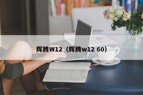 辉腾W12（辉腾w12 60）