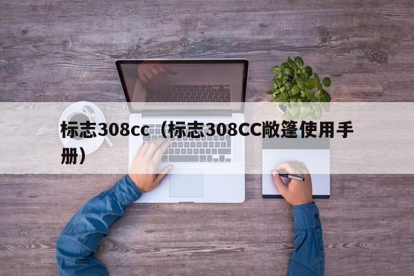 标志308cc（标志308CC敞篷使用手册）