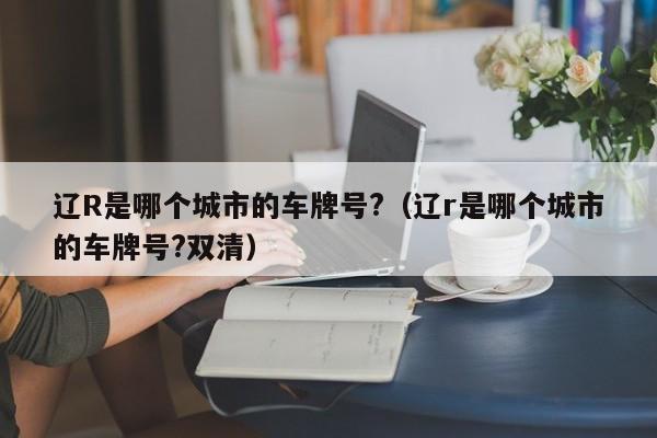 辽R是哪个城市的车牌号?（辽r是哪个城市的车牌号?双清）