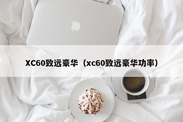XC60致远豪华（xc60致远豪华功率）