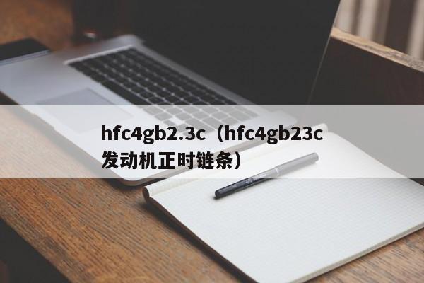 hfc4gb2.3c（hfc4gb23c发动机正时链条）