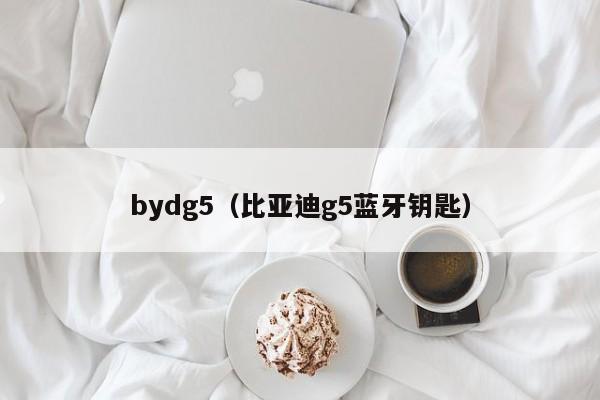 bydg5（比亚迪g5蓝牙钥匙）