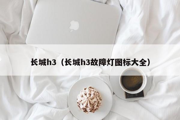 长城h3（长城h3故障灯图标大全）