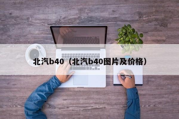 北汽b40（北汽b40图片及价格）