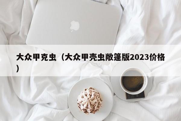 大众甲克虫（大众甲壳虫敞篷版2023价格）