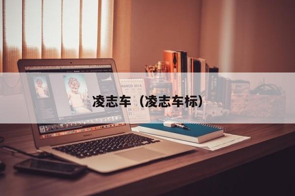 凌志车（凌志车标）
