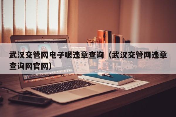 武汉交管网电子眼违章查询（武汉交管网违章查询网官网）