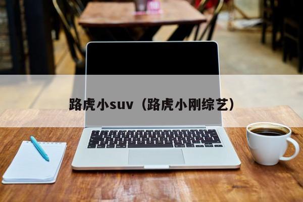 路虎小suv（路虎小刚综艺）