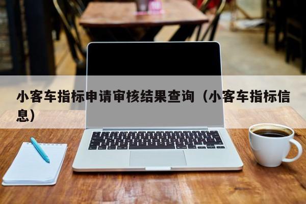 小客车指标申请审核结果查询（小客车指标信息）