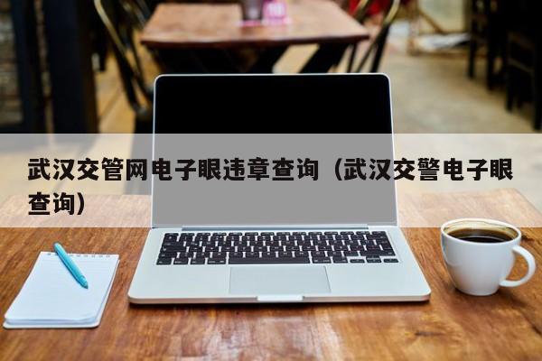 武汉交管网电子眼违章查询（武汉交警电子眼查询）
