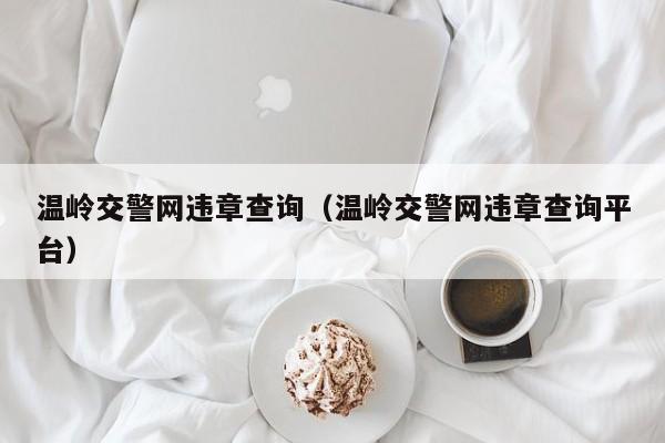 温岭交警网违章查询（温岭交警网违章查询平台）