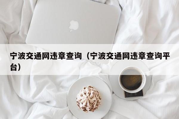 宁波交通网违章查询（宁波交通网违章查询平台）