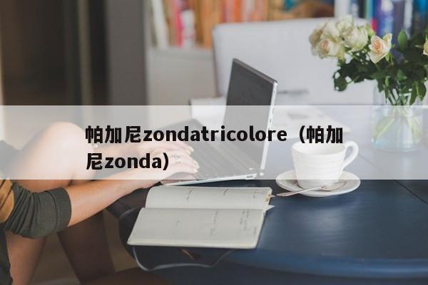 帕加尼zondatricolore（帕加尼zonda）