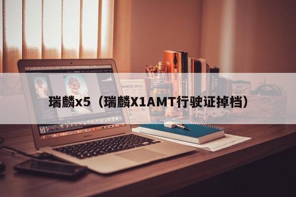 瑞麟x5（瑞麟X1AMT行驶证掉档）