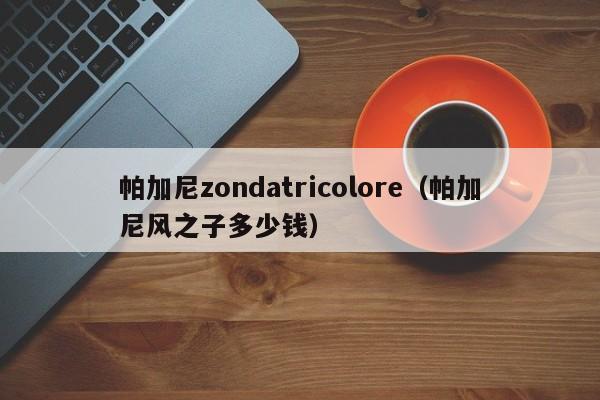 帕加尼zondatricolore（帕加尼风之子多少钱）