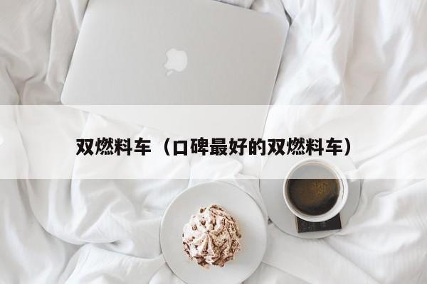 双燃料车（口碑最好的双燃料车）