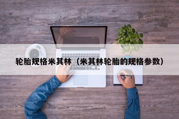 轮胎规格米其林（米其林轮胎的规格参数）
